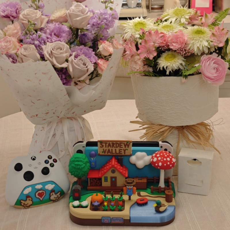 حامل شحن زخرفي بتصميم Stardew  - مراجعة Gaming Consoles وسعره